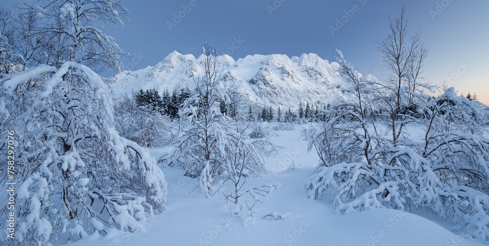 Austnesfjorden, Austvagoya, Lofoten, Nordland, Norwegen Austnesfjorden, Austvagoya, Lofoten, Nordland, Norwegen