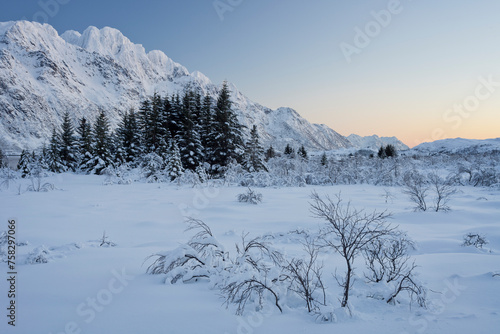Wallpaper Mural verschneite Landschaft bei  Vestpollen, Berg Rulten, Austnesfjorden, Austvagoya, Lofoten, Nordland, Norwegen Torontodigital.ca