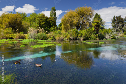 Hamurana Springs, Rotorua, Bay of Plenty, Nordinsel, Neuseeland photo