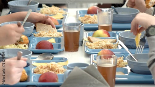 Baby food at school. School canteen. Organization of children's nutrition in educational institutions. Centralized supply of lunch products for children in schools