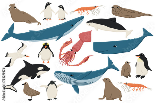 Set of colorful flat animals in Antarctica. Vector Hand drawn collection of whales, penguins, skua, krill, seals, porpoise.