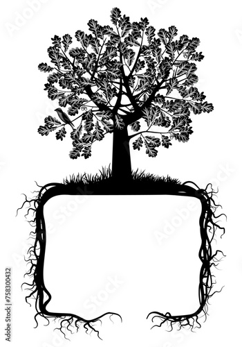 Vintage black and white engraved oak tree with roots in the shape of a frame isolated on a white background. Artistic banner and book cocer design. Vector illustration