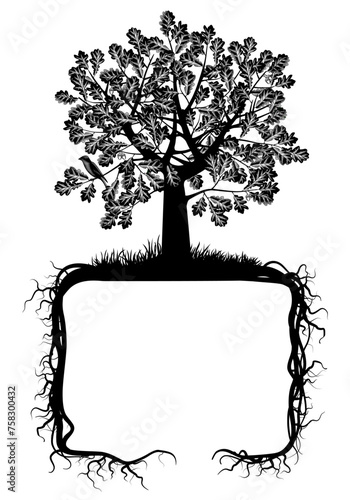 Vintage black and white engraved oak tree with roots in the shape of a frame isolated on a white background. Artistic banner and book cocer design. Vector illustration