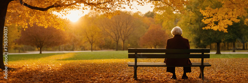 A solitary elderly person watching the sunset from a park bench, lost in thought as autumn leaves fall around them