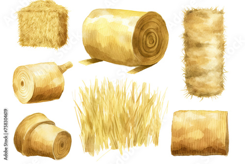 Obraz na płótnie set grass making animals hay set illustration farm white hand rancho brick background ways roll drawn fferent dry hay isolated elements harvesting watercolor straw pile w salonie