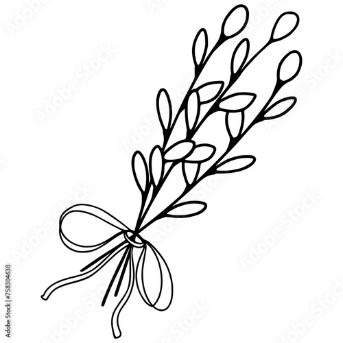 Pussy willow twig with ribbon vector illustration 