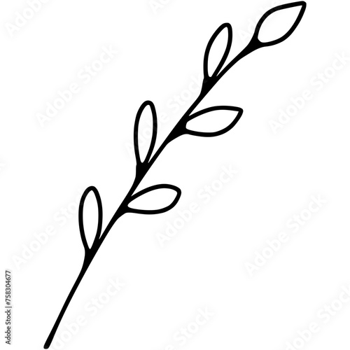 Willow sprig doodle, pussy-willow twig vector illustration