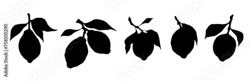 Set of lemon citrus fruit silhouettes. Vector graphics.