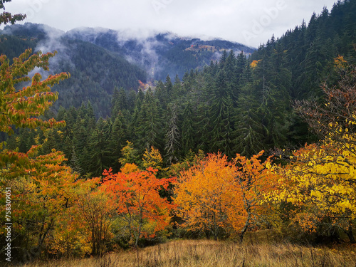 autumn in the mountains