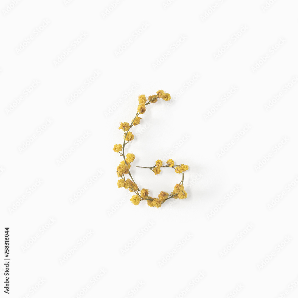 Letter G made from flowers mimosa yellow. Flower alphabet layout. Flat lay Letter G made from flowers mimosa yellow. Flower alphabet layout. Flat lay