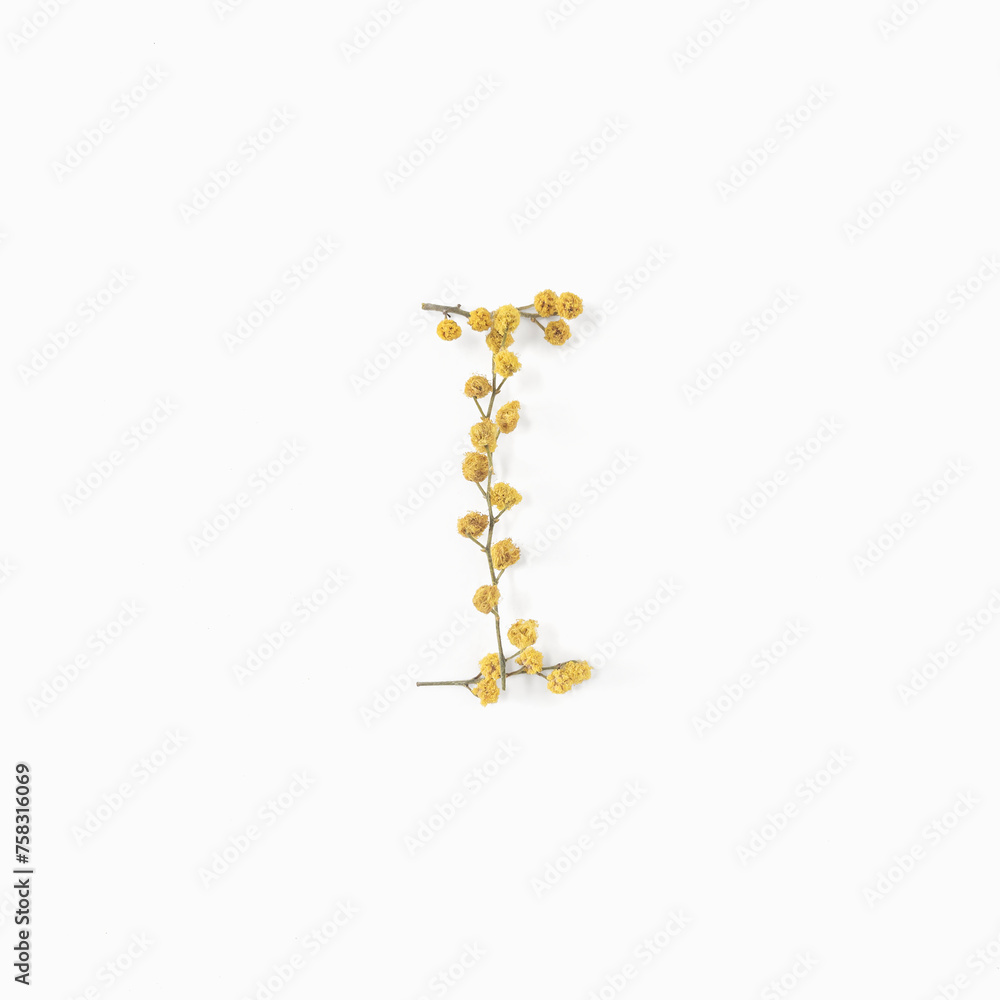 Letter I made from flowers mimosa yellow. Flower alphabet layout. Flat lay Letter I made from flowers mimosa yellow. Flower alphabet layout. Flat lay