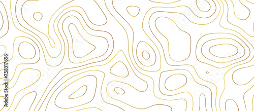 abstract golden wave paper curved reliefs background. Topography map pattern, Geographic curved, vector illustration. seamless textrue, vintage waves. Panorama view multicolor wave curve line.