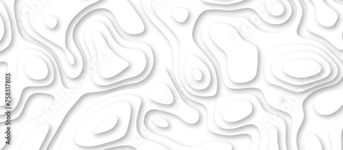 3d render, abstract white paper background. Paper cut vector art background banner texture. multi layer cutout geometric pattern on vector, Abstract soft white background with waves. 