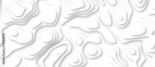 3d render, abstract white paper background. Paper cut vector art background banner texture. multi layer cutout geometric pattern on vector, Abstract soft white background with waves. 