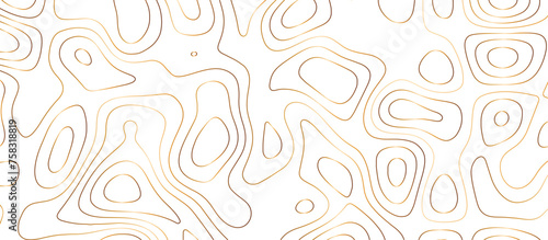 abstract golden wave paper curved reliefs background. Topography map pattern, Geographic curved, vector illustration. seamless textrue, vintage waves. Panorama view multicolor wave curve line.