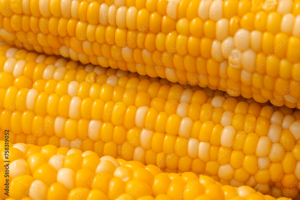 Hot boiled corn with bright yellow grains macro. Zea mays close up. Healthy food corncob from vegetables and cereals. Vegetarian diet concept. Hot boiled corn with bright yellow grains macro. Zea mays close up. Healthy food corncob from vegetables and cereals. Vegetarian diet concept.