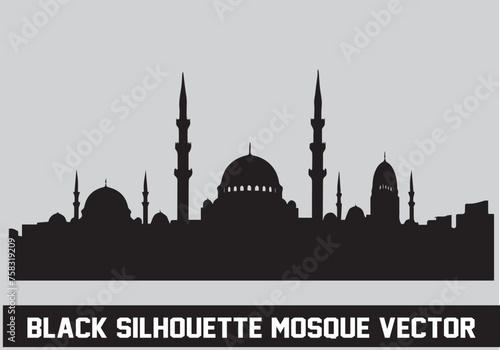 blue mosque silhouette