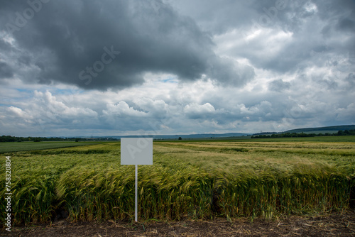 new varieties of winter barley sectors demo plots with pointers,