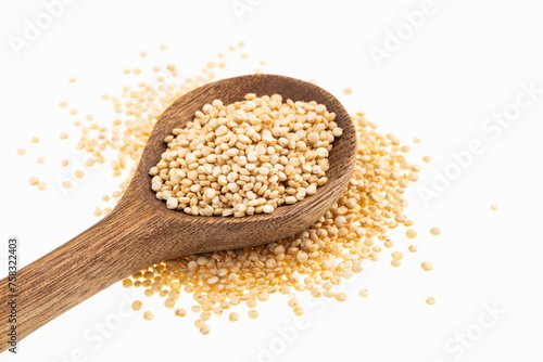 Chenopodium quinoa - Quinoa seeds in the spoon