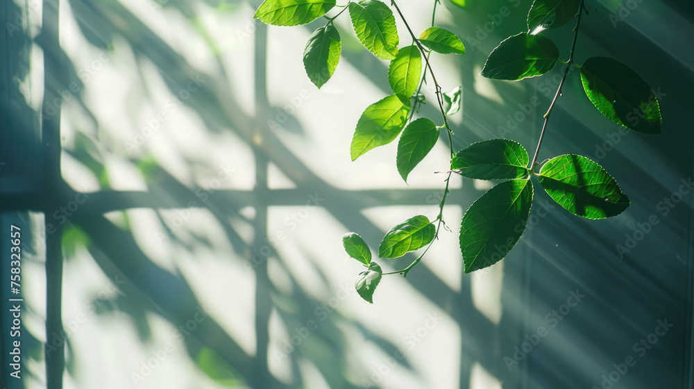 A green plant hanging from a window, perfect for home decor projects
