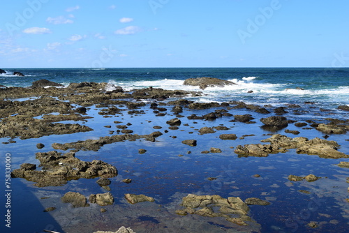 加茂海岸周辺の風景 ／ 山形県庄内浜の加茂海岸には、天然の良港として発展した加茂港、県立加茂水産高等学校、県水産試験場が立地しており、山形県の海洋研究・海洋教育の拠点としての役割も担っています。また、山形県内唯一の水族館である鶴岡市立加茂水族館があり、世界一多くの種類の「くらげ」を展示する水族館として、ギネス世界記録に認定されています。 photo