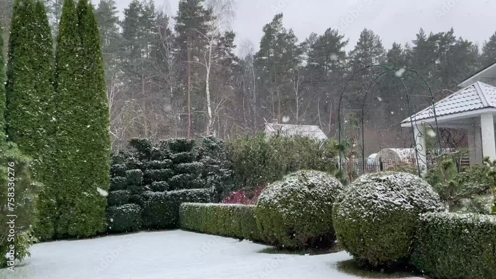 It is snowing in the garden. Snow covered trees in winter. Beautiful winter landscape. It is snowing in the garden. Snow covered trees in winter. Beautiful winter landscape.
