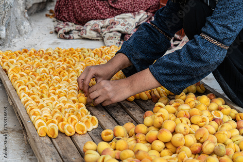 Malatya apricots