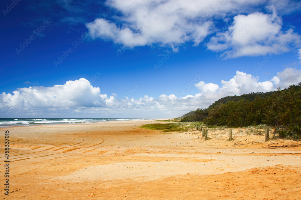 Fototapeta premium The Pinnacles are coloured sands cliffs located along the 75 mile beach on the east coast of Fraser Island, Queensland, Australia - They have been stained over thousands of years with clay