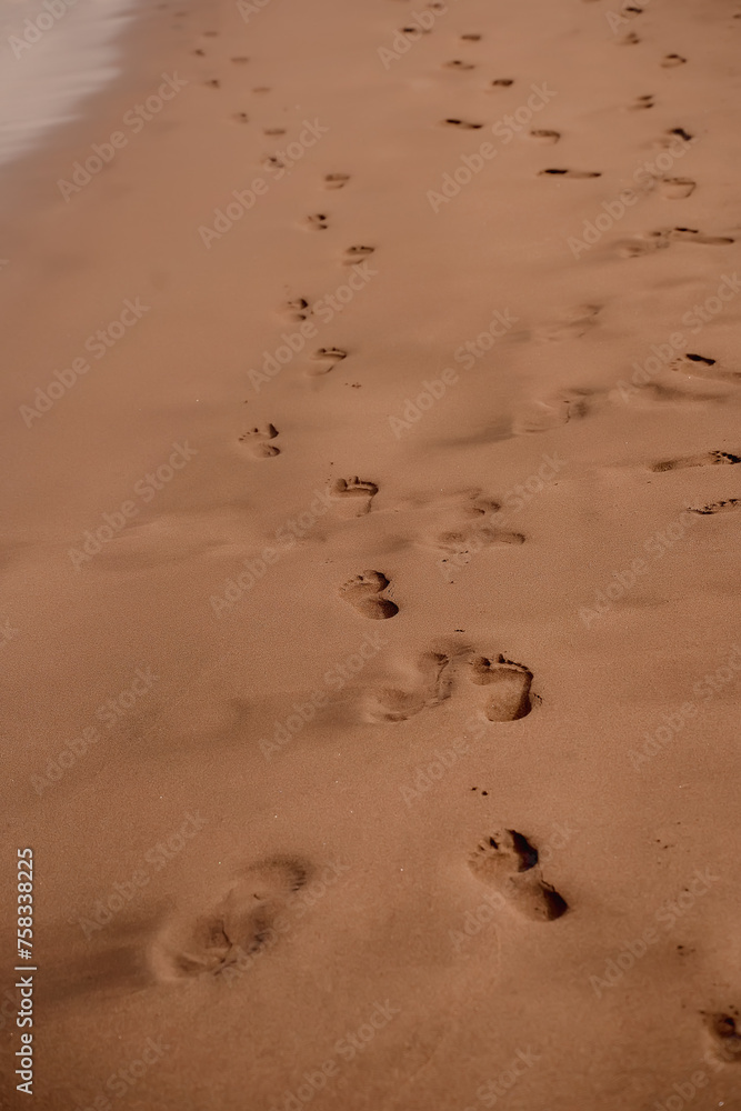 A series of human footprints mark a trail on the wet sand of a beach, hinting at a solitary walk by the water's edge. Trail of Footprints on Sandy Beach Shoreline. A series of human footprints mark a trail on the wet sand of a beach, hinting at a solitary walk by the water's edge. Trail of Footprints on Sandy Beach Shoreline.