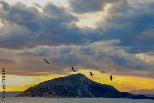 Silhouette of Birds in the mountain ranges