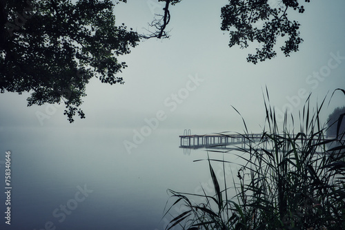 Reflection in the Lake - Green - Fog - Forest - View - Nature - Sea - Landscape - Trees - Morning - Peaceful - High quality photo photo