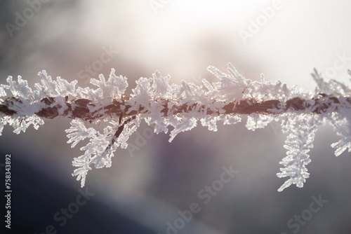 snow covered rope. Detail of frozen wire. snow crystals in backlight with blurry background. Winter mood. © R. S.