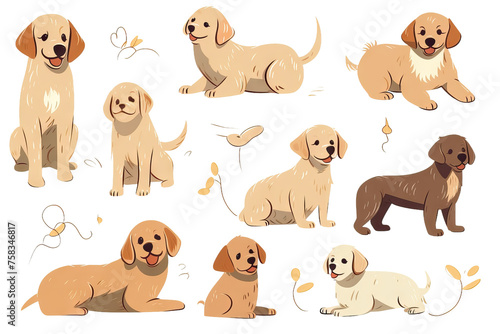 characters golden cartoon labrador hand design fferent collection dog flat dog set retriever retriever color drawn vector poses cute puppy