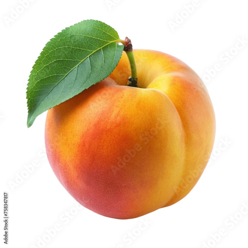 A fresh apricot isolated on Transparent background.