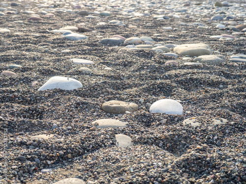 Gray sand and stones on the beach. Beach in winter. Sea coast soil.