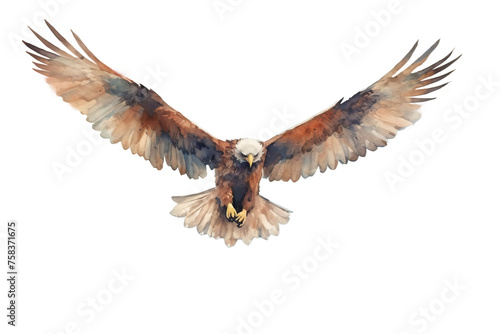 sharp watercolor an soaring abstract scanning outstretched sky majestic eyes wings landscape background texture eagle