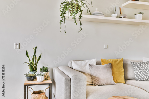 Cozy living room corner with plants and modern sofa photo