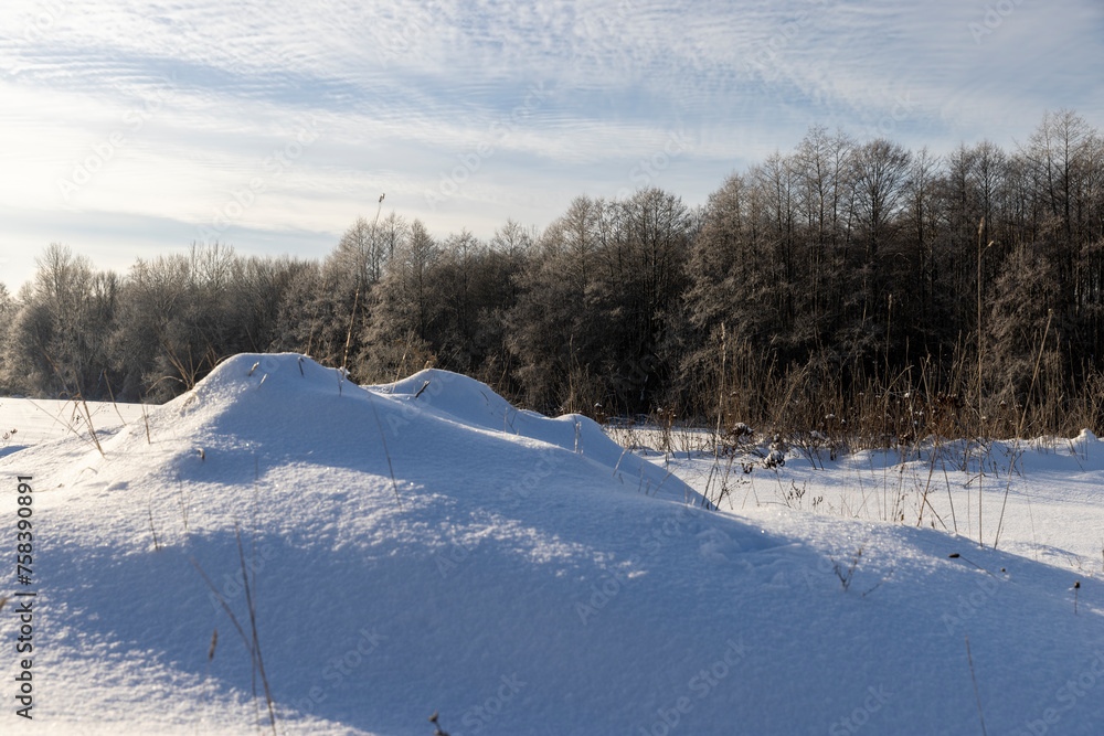 Fototapeta premium freshly fallen white cold snow in nature