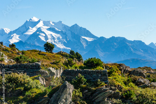 Jungfrau-Aletsch protected area  Bernese Alps  Switzerland