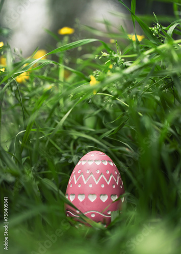 A single well hidden pink Easter Egg with intricate carved design. Focus on Easter Egg found hidden in dense grass for Easter Egg hunt. © Leigh Prather