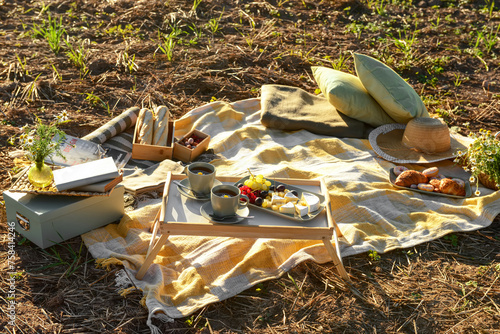Picnic with tasty food, tea...