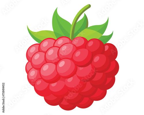 Red testy Raspberry vector illustration