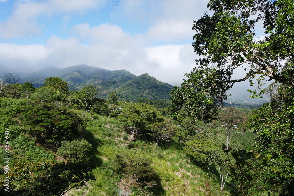 Berglandschaft mit Kaffeeplantagen in Boquete in Panama