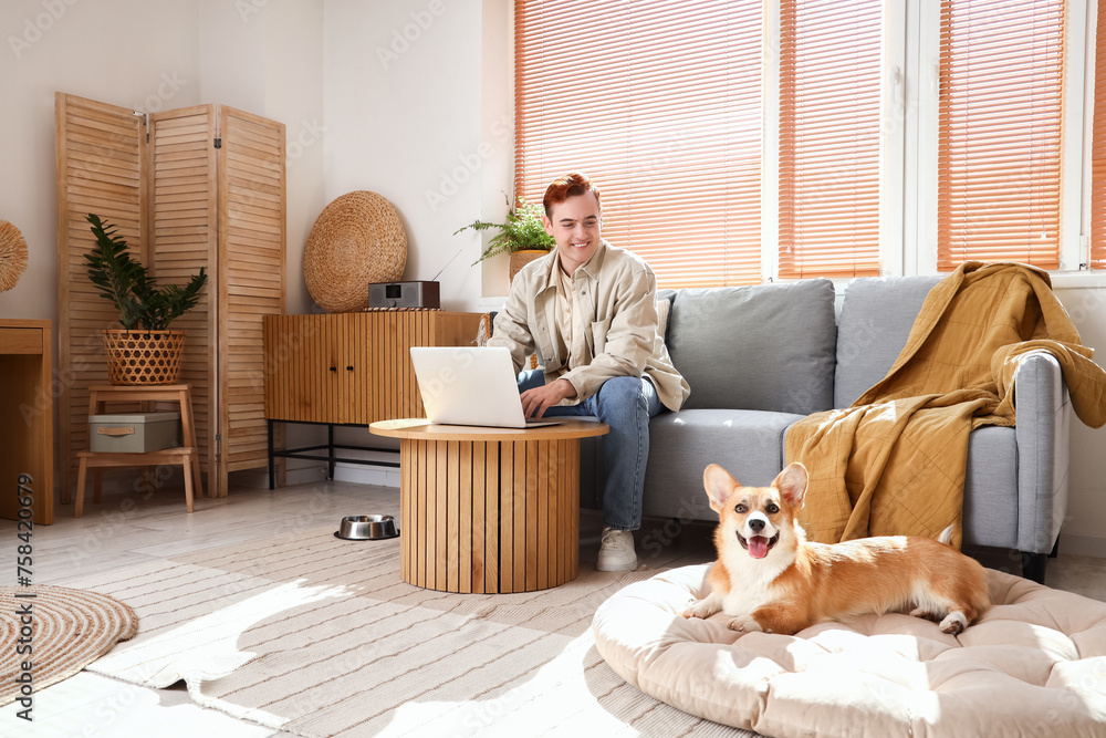 Fototapeta premium Redhead young happy man with laptop and cute Corgi dog at home
