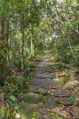 paisagem natural na serra de São José, na cidade de Tiradentes, Estado de Minas Gerais, Brasil photo