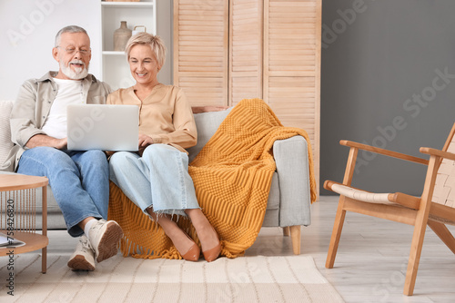 Mature couple using laptop ...