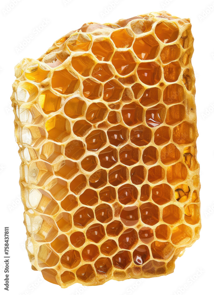  Honeycomb piece with hexagonal cells filled with honey. png file of isolated cutout object without shadow on transparent background.