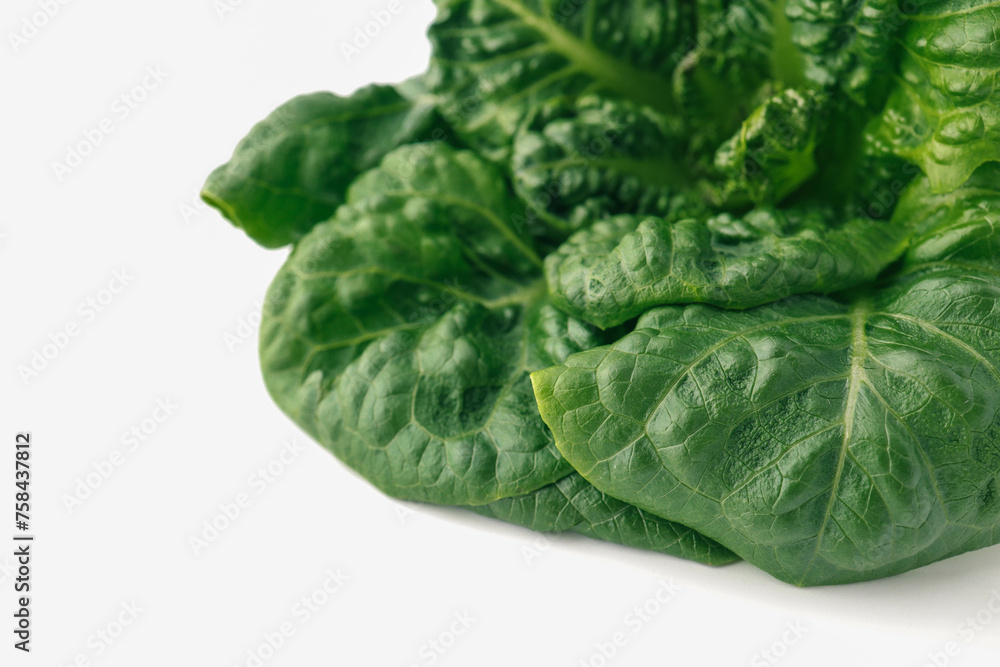 Fototapeta premium Lettuce leaves isolated on white background