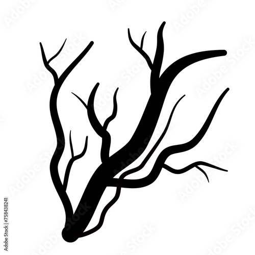 Black dry tree branches silhouette