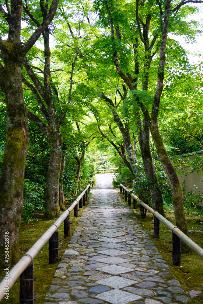 Fototapeta premium 京都鷹峯光悦寺の参道の風景